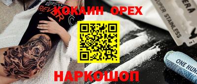 индика Гатчина