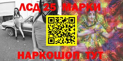 индика Гатчина