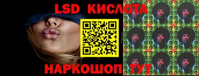 индика Гатчина