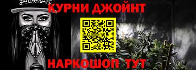 индика Гатчина
