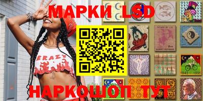 индика Гатчина