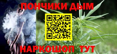 индика Гатчина
