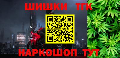 индика Гатчина