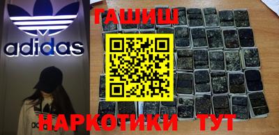 индика Гатчина